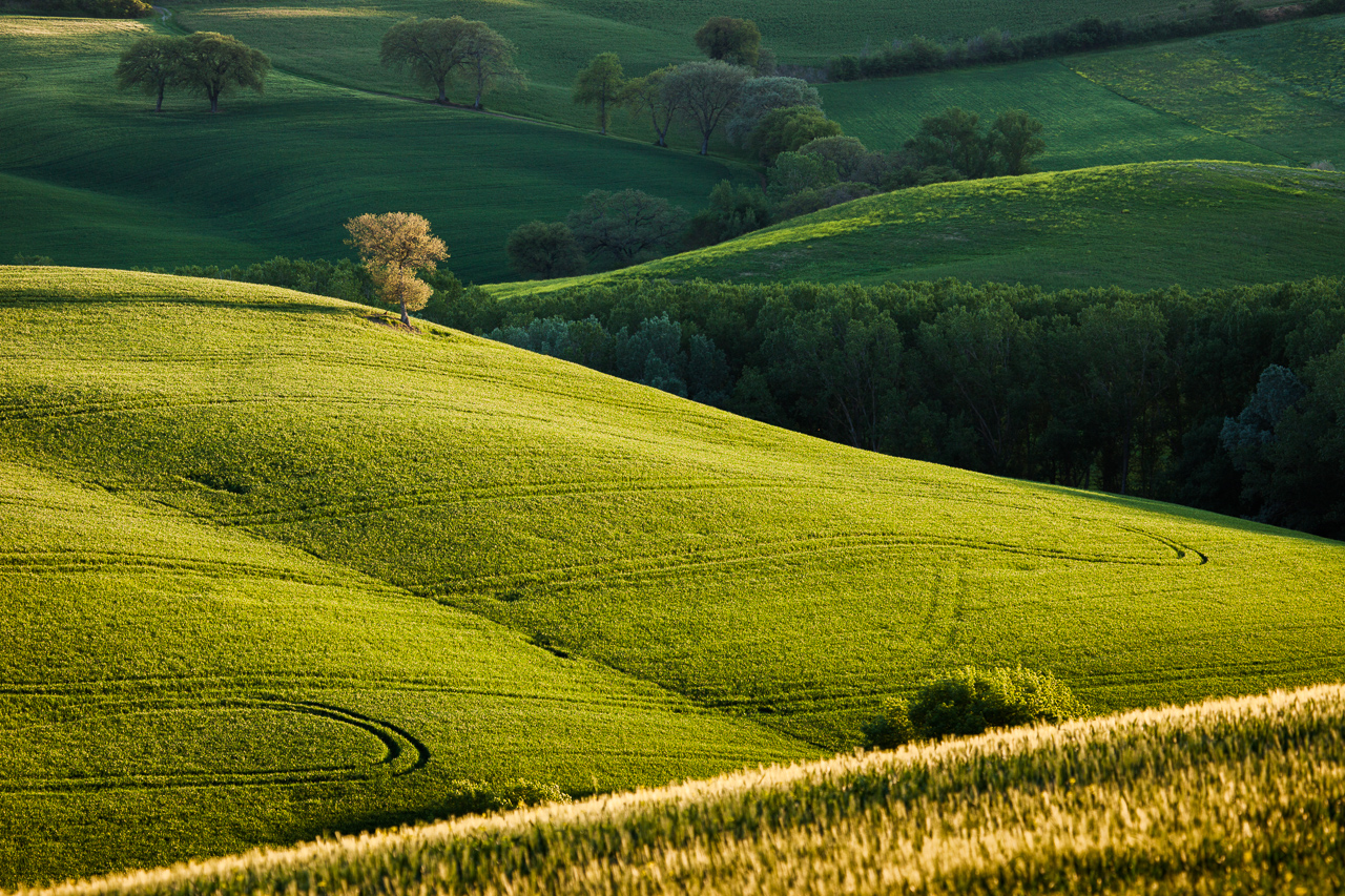 2012_Toskana_30.jpg